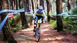 Pacu Adrenalin dengan Sepeda di Sebex Bike Park, Sentul