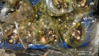 Gulai lokan alun alun Bukittinggi