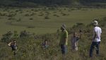 Padang Rumput Ala Amerika di Sulawesi Tengah