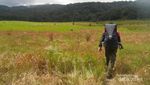 Padang Rumput yang Indah di Gunung Papandayan