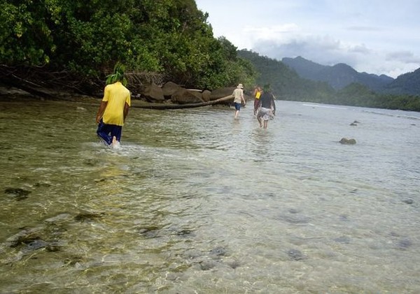 Menjelajah Pulau Pagang (Sastri/ detikTravel)