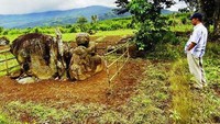 Pasemah, salah satu peninggalan Megalitikum yang terkenal di Pagaralam Sumatera Selatan (Sumber: versesofuniverse.blogspot.com)