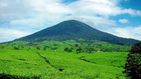 Gunung Dempo, menjadi latar belakang yang menarik untuk Kota Pagaralam (Sumber: versesofuniverse.blogspot.com)