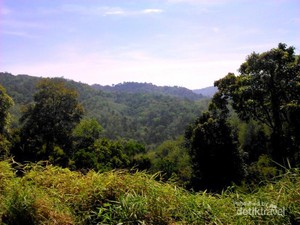 Pagaralam yang Sejuk, Hijau dan Cantik