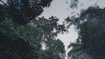 Pagi yang Eksotis dari Gunung Prau