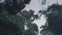 ugc