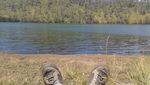 Pagi yang Menenangkan di Ranu Kumbolo