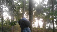 perjalanan pulang