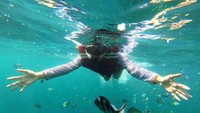 Snorkeling di Pulau Pahawang