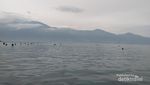 Palu Punya Pantai Unik Berarus Tenang