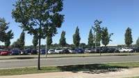 Haarijnseplas yang tampak dari kantin tempat saya kerja