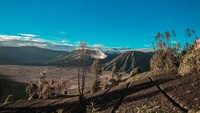 Bromo dari Bukit King Kong