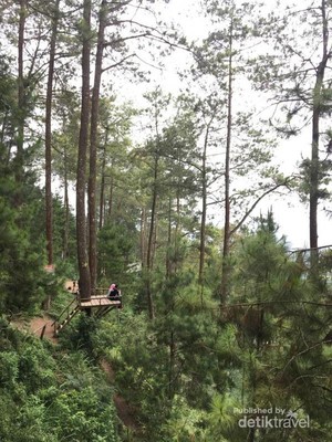 Panduan Liburan 3 Hari di Malang yang Penuh Kenangan