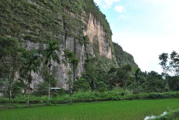 Salah satu tebing tinggi di Lembah Harau (Rinta Adita/ dTraveler)
