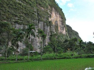 Panjat Tebing di Lembah Harau, Berani?