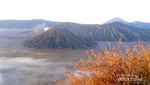 Panorama Indah Bromo dari Bukit Cinta