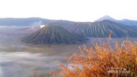 Semakin terang semakin cantik