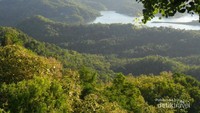 Pesona Kalibiru