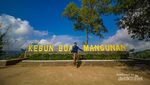 Panorama Wisata Alam Gardu Pandang Kebun Buah Mangunan