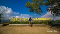Spot foto tulisan Kebun Buah Mangunan