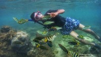 Salah satu pilihan destinasi buat snorkeling