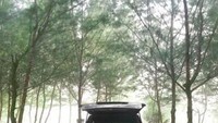 Asyik kan camping begini