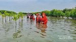 Pantai Bahagia yang Hampir Hilang oleh Abrasi