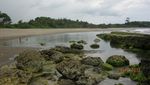 Pantai Bajulmati di Malang, Penuh dengan Batu Karang Menawan