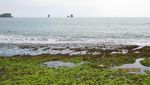 Pantai Bajulmati di Malang, Penuh dengan Batu Karang Menawan