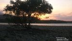 Pantai Balanan, Sekeping Surga di Baluran