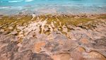 Pantai Balangan, Destinasi Baru yang Instagrammable di Bali