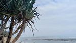 Pantai Balekambang, Tanah Lotnya Jawa Timur