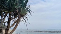 Pantai Balekambang dari sudut lainnya