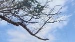 Pantai Balekambang, Tanah Lotnya Jawa Timur