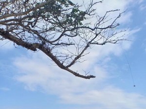 Pantai Balekambang, Tanah Lotnya Jawa Timur