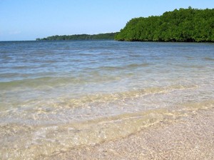 Pantai Bama, Permata di Africa van Java