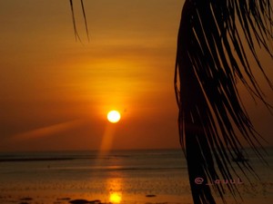 Pantai Boa di NTT: Rumput Laut, Sunset Keren & Surfing!