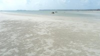 Pasir pantai yang halus lagi putih, serta laut yang jernih.