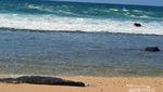 Pantai di Gunungkidul yang Serasa Milik Pribadi
