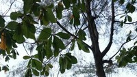 Santai dulu di hammock yang ada di pinggir pantai