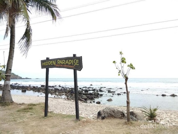 Pantai di Kebumen  Ini Tawarkan Paket  Wisata  Lengkap