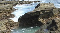 Tidak disarankan untuk berenang di sini