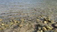 Air laut yang dangkal lagi tenang.