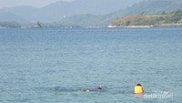 Snorkeling