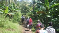 Jalan hutan menuju Pantai Gatra.