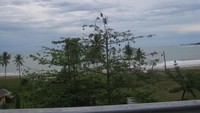 Pemandangan dari tepi jalan
