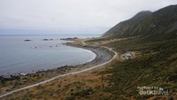 Panorama Palliser Bay dari atas mercusuar.