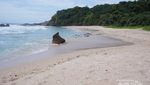 Pantai Jungwok di Gunungkidul, Seperti Milik Pribadi
