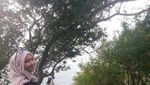 Pantai Karang Bolong, Primadona dari Anyer