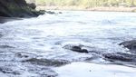 Pantai Karangbolong, Keindahan yang Terlupakan